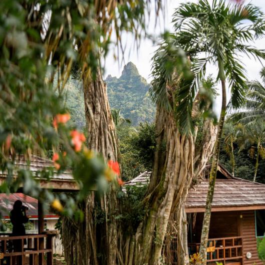 VillageTemohana_HD_2026_Thanh-HaBui-5