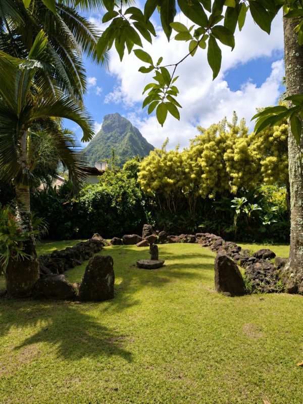 Jardin / Garden 